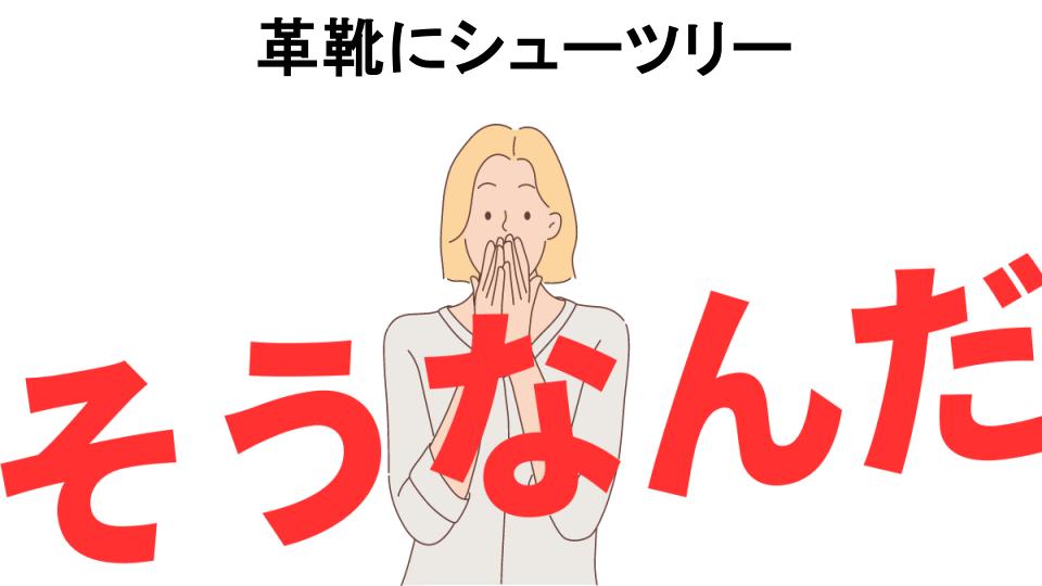 意味ないと思う人におすすめ！革靴にシューツリーの代わり